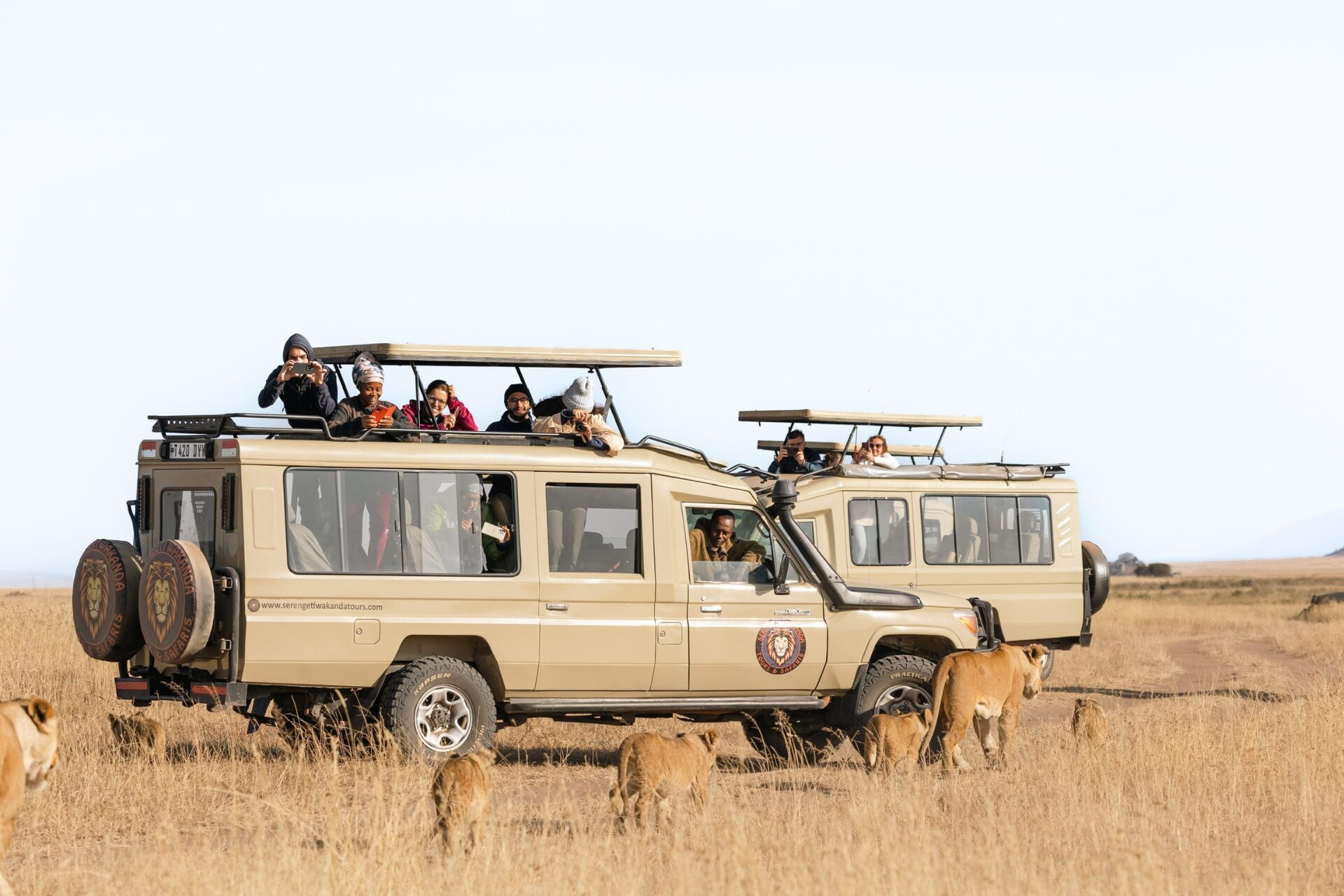 Travel expert Amani