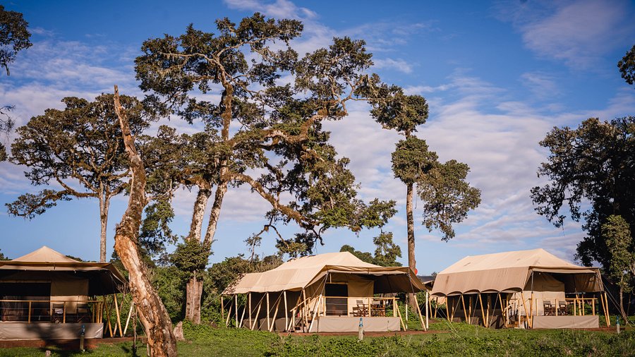 Best Time to Visit Tarangire