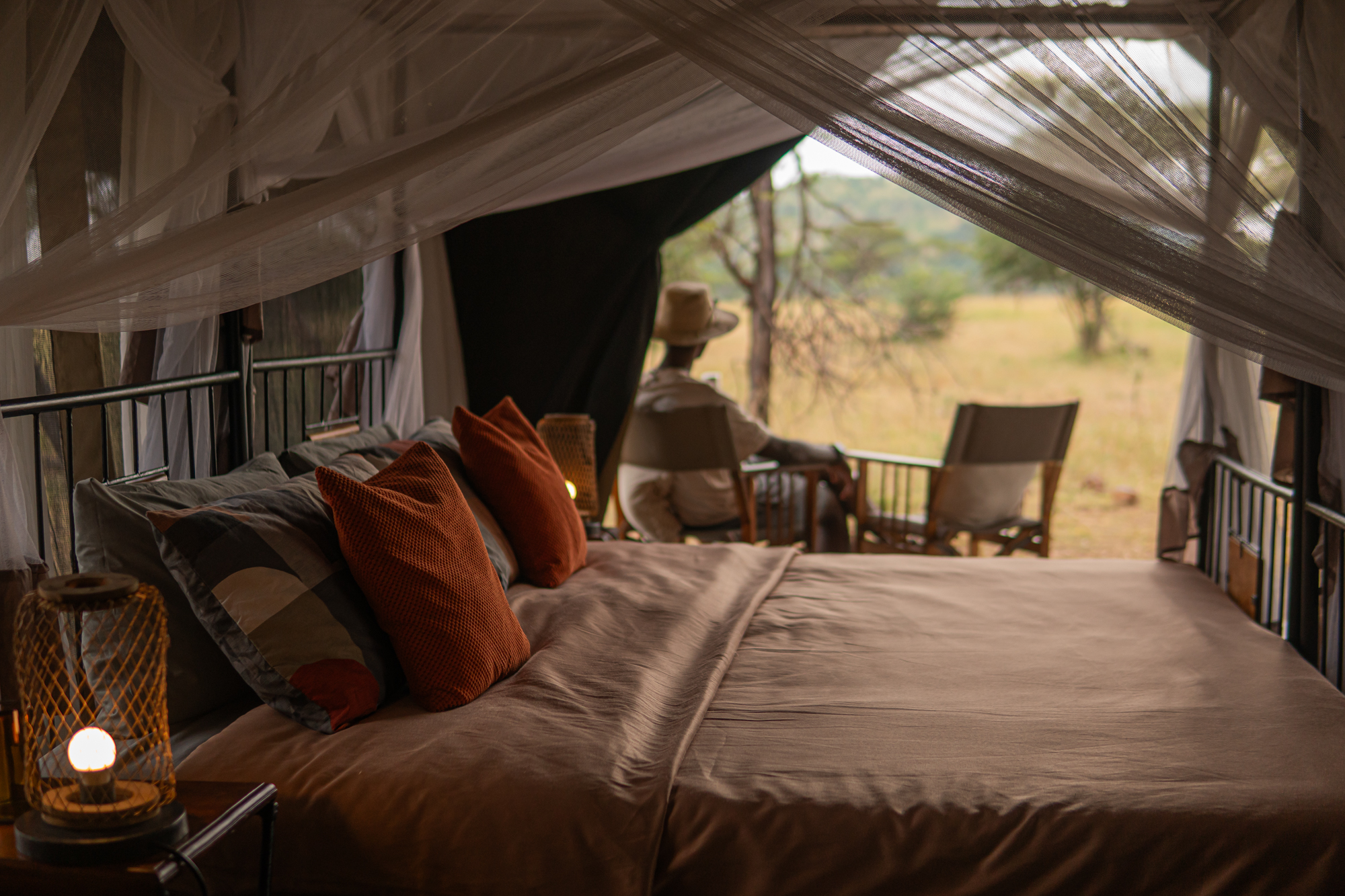 Intimate Camp Zebra
