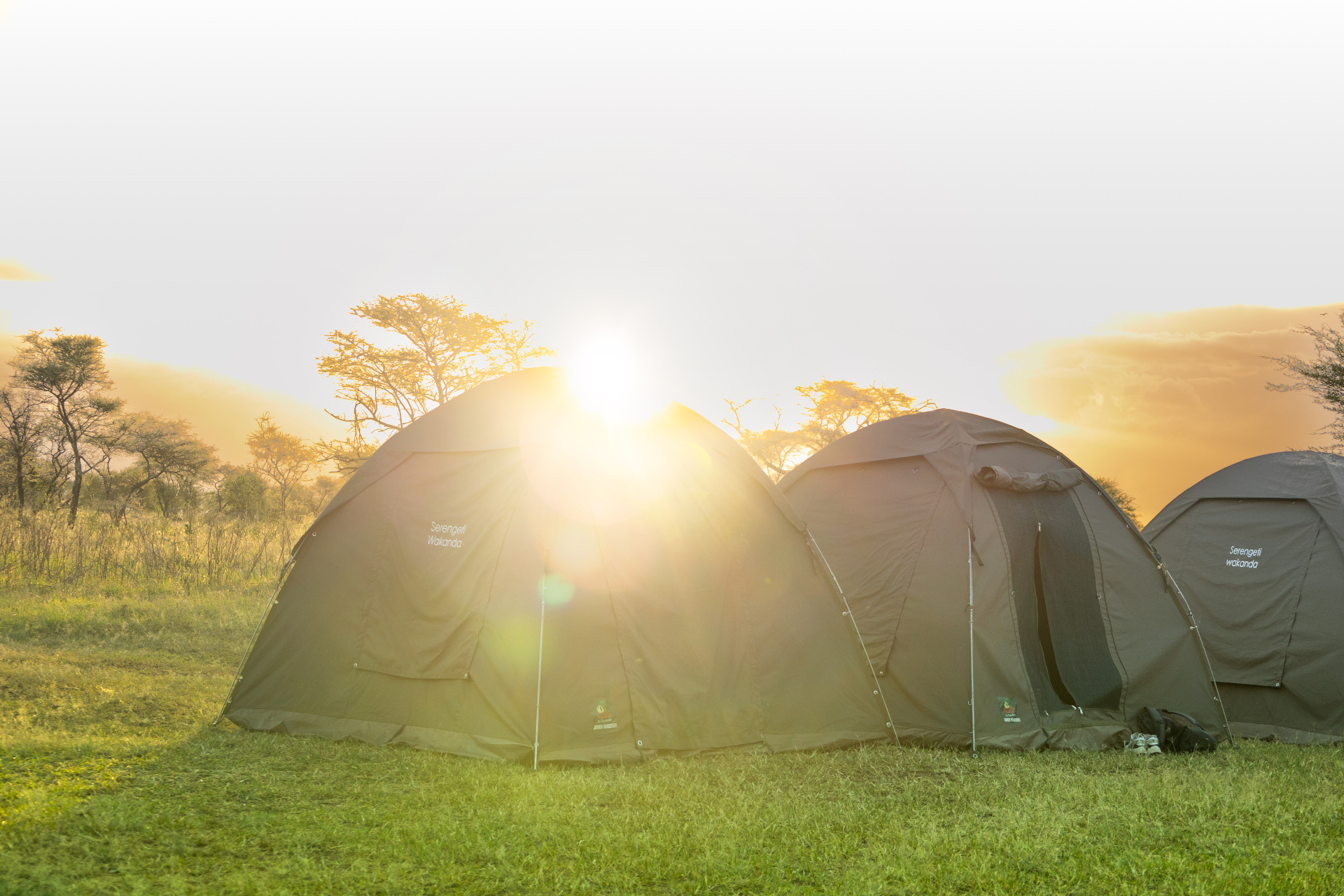8-Day Big 5 Camping Safari & Visiting the Hadzabe