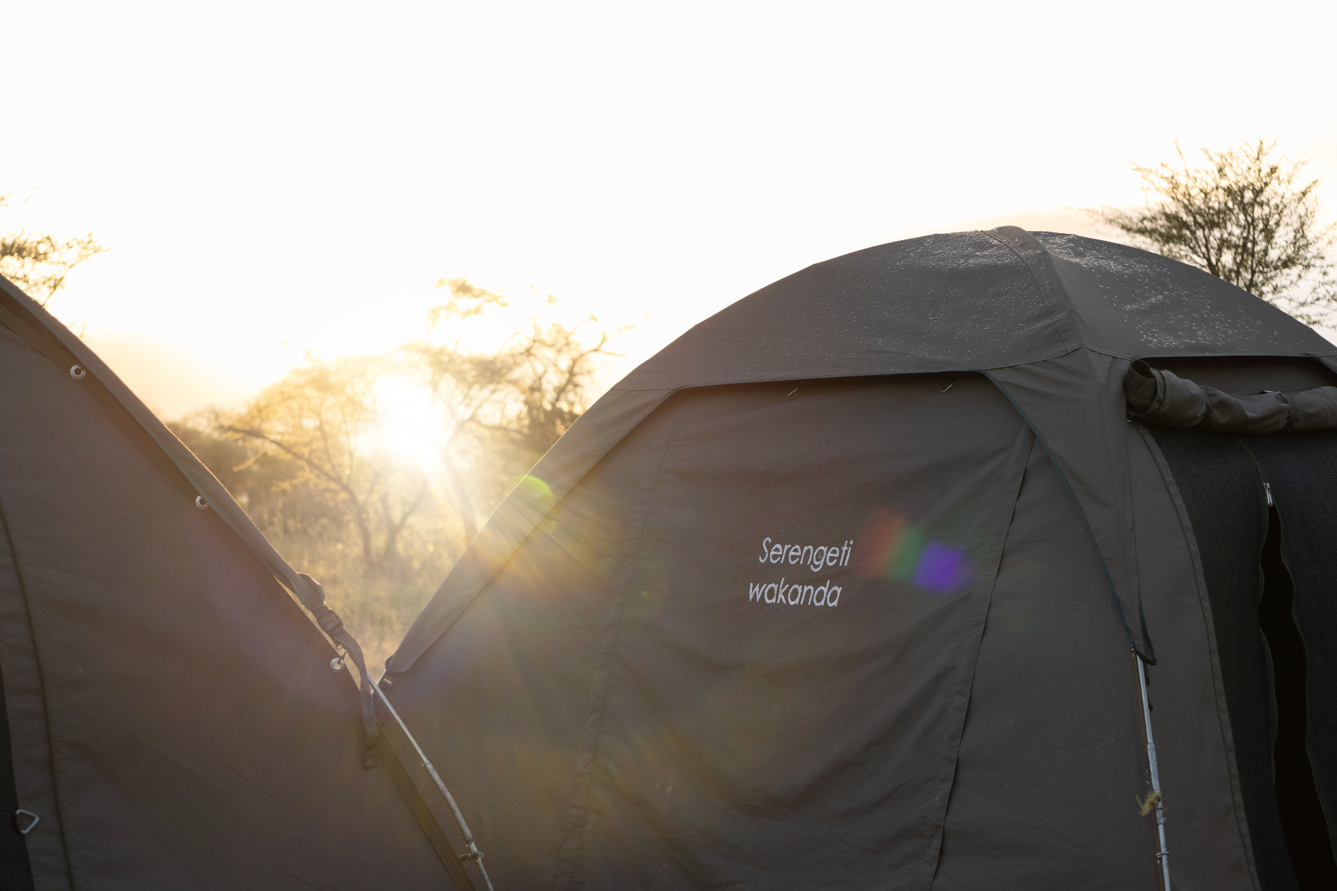 4-Day Private Camping Wakanda Special Safari