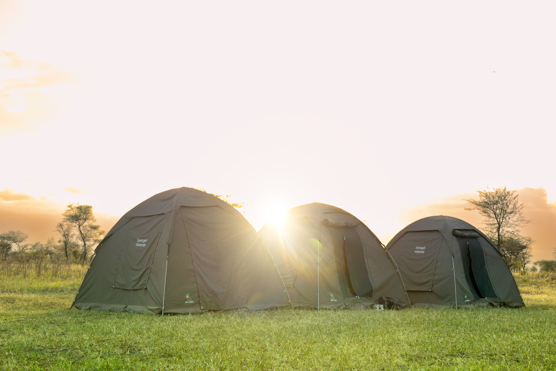 Budget camping at Lake Eyasi