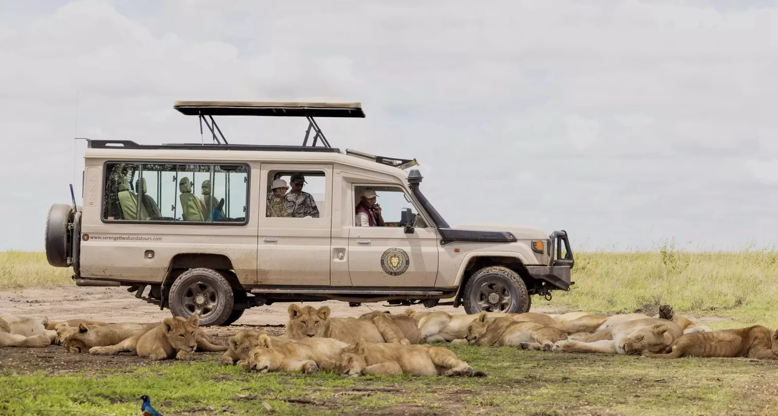 East Coast (Matemwe, Pongwe, Paje)