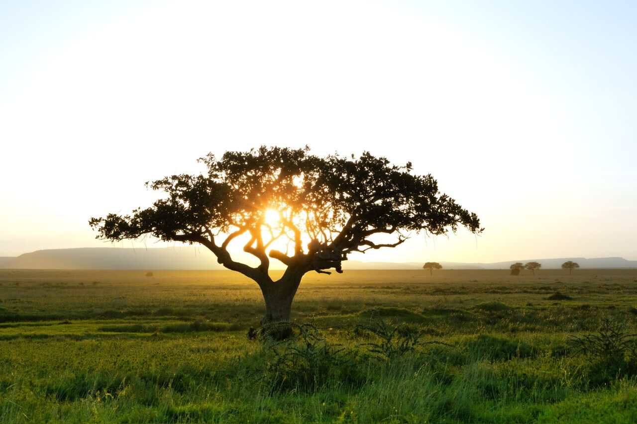 4-Day Beach to Bush, Fly in, Fly out Luxury Safari