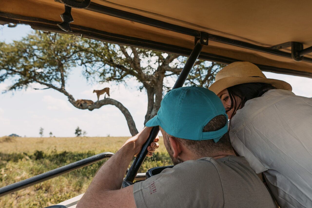 Footwear for Safari