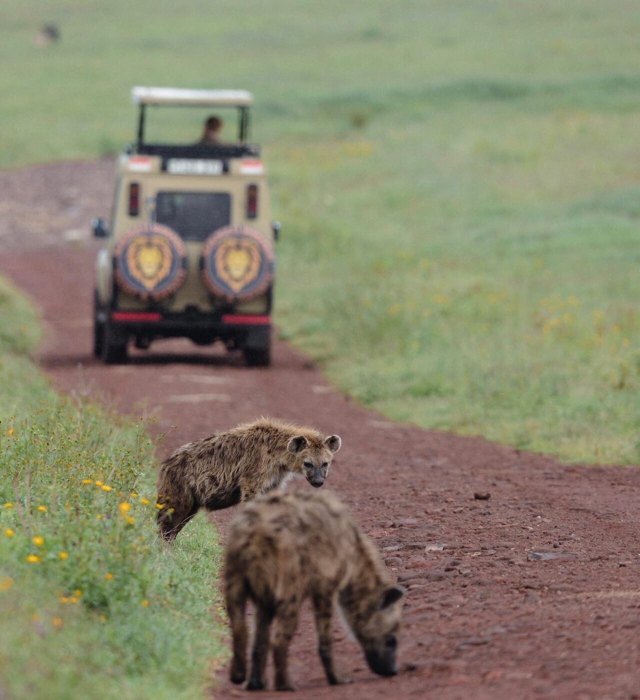 Tour Operator Margins Explained