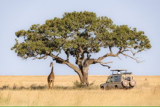 Family Safari Costs