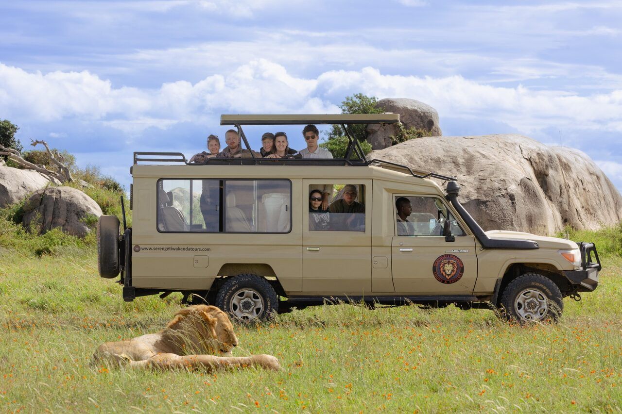 Safari Costs by Month