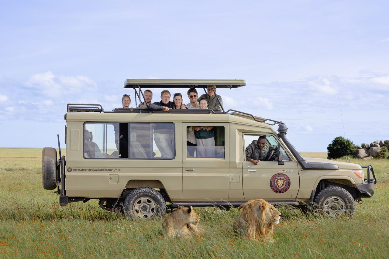Budget Safari Reality Check