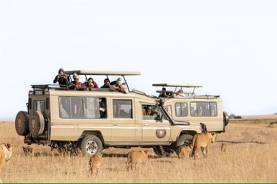 How to Save on a Tanzania Safari