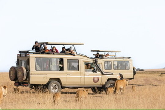 4-Day Fly In Zanzibar To Northern Circuit Classic Safari