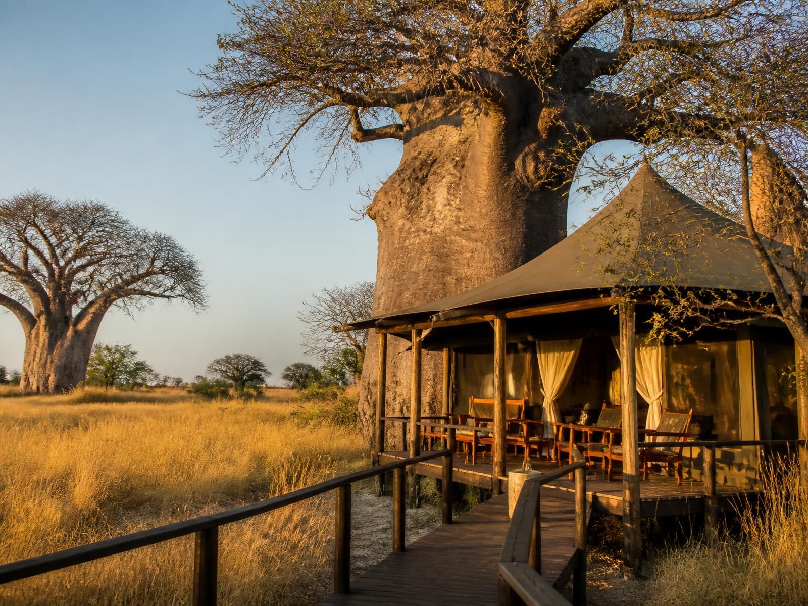 Conservation in Tanzania
