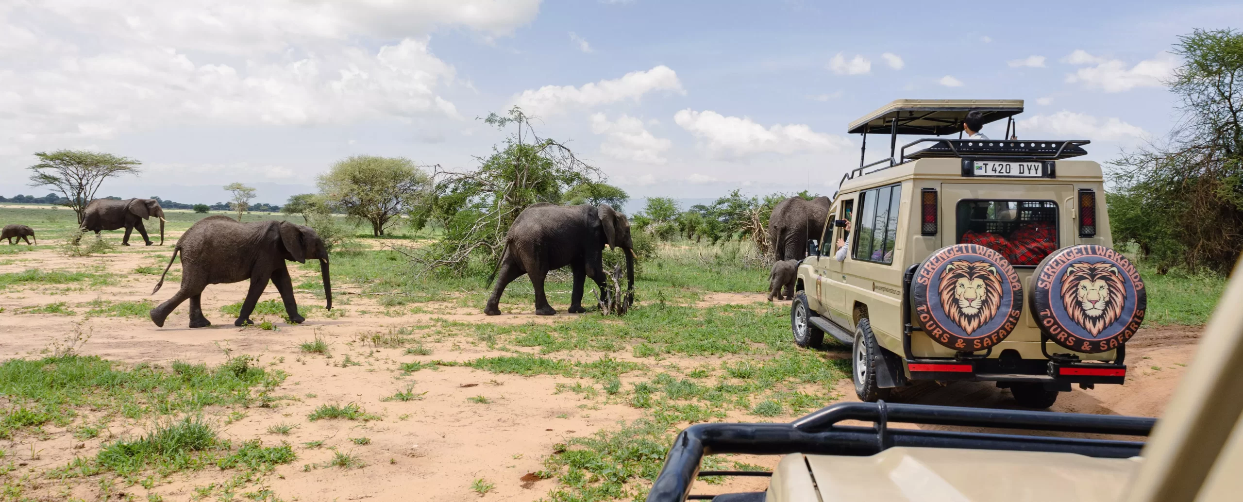 4-Day Private Camping Wakanda Special Safari - Serengeti Wakanda